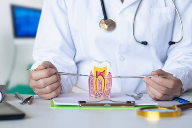 Best Emergency Dental Care for Broken or Chipped Teeth in Marysville, OH
